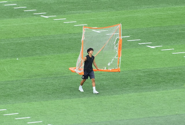 职业生涯书